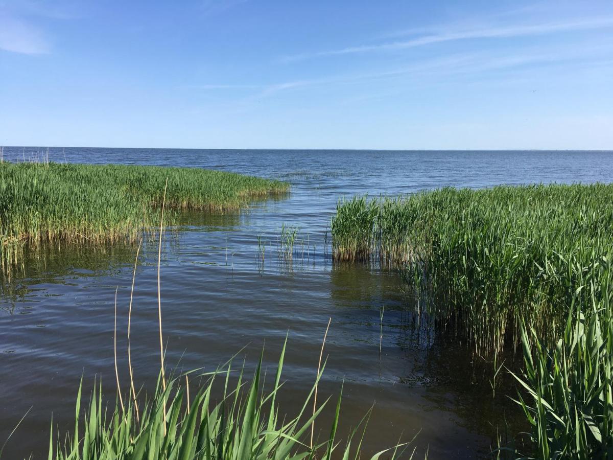 Landhaus Am Haff Stolpe auf Usedom Exterior foto